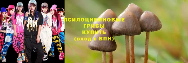 МДПВ Коряжма