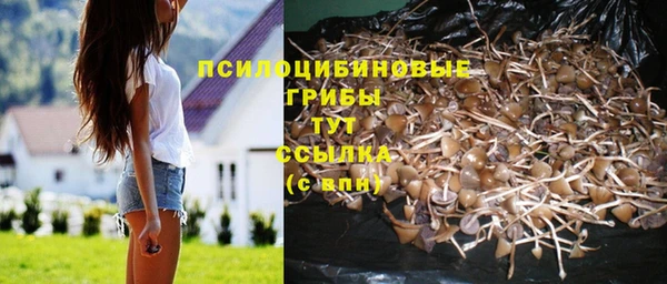 МДПВ Коряжма