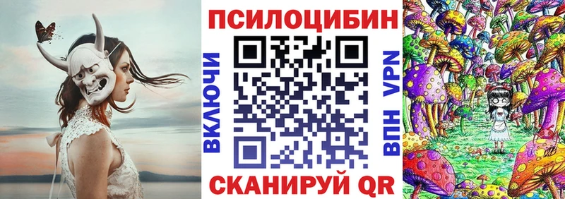 Псилоцибиновые грибы Psilocybe  Купить закладки  Горно-Алтайск 