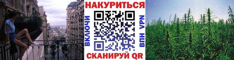 МАРИХУАНА план  Купить  Горно-Алтайск 